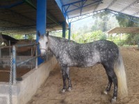 /album/fotogaleria/a1781971-10205758853951992-9194989392156904394-n-jpg/