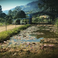 /album/fotogaleria/a1798862-10205506037671743-6396618775164664458-n-jpg/