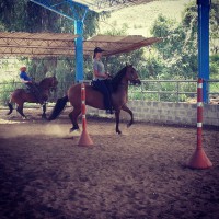 /album/fotogaleria/a10502272-10205713239971671-6918759820894038330-n-jpg/