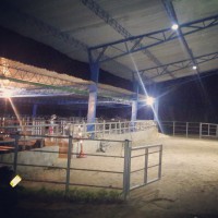 /album/fotogaleria/a10888929-10205499670992580-4691171260202683828-n-jpg/