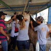 /album/fotogaleria/a10940528-10205713325493809-7989532592280095806-n-jpg/