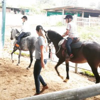 /album/fotogaleria/a10952239-10205708181365209-4921242264954297704-n-jpg/