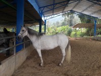 /album/fotogaleria/a10945654-10205758855672035-2403648906676706794-n-jpg/