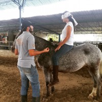 /album/fotogaleria/a10262108-10205789456957048-6980730075569401783-n-jpg/