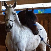 /album/fotogaleria/a11020413-10206001472457303-7567442-n-jpg/