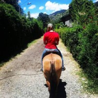 /album/fotogaleria/a11026761-10206001472817312-1745164341-n-jpg1/