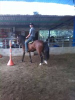 /album/fotogaleria/a11039360-10206001480097494-874993019-n-jpg/