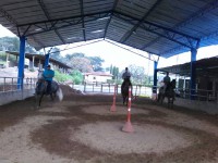 /album/fotogaleria/a11040217-10206001481617532-1562493765-n-jpg/